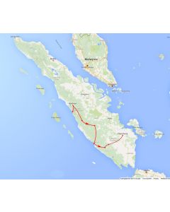 Rondreis Sumatra: Zuid Sumatra, Kerinci Seblat & Kubu-stam (14 dagen/ 13 nachten)