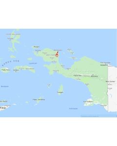 425 Afrak gebergte voglespotting en lichte jungle trekking M1 5D 4N
