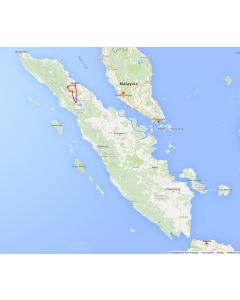 Rondreis Sumatra: Noord Sumatra Natuur & Tropisch Avontuur (9 dagen/ 8 nachten)