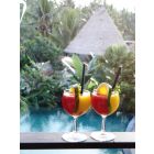 Venture travels Bali Collection Sankar Boutique resort en villa 30