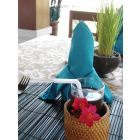 Venture travels Bali collection Radha Phala resort en spa 6