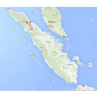 Venture travels rondreis Sumatra Leuser –raften – Orang utans 10D 9N