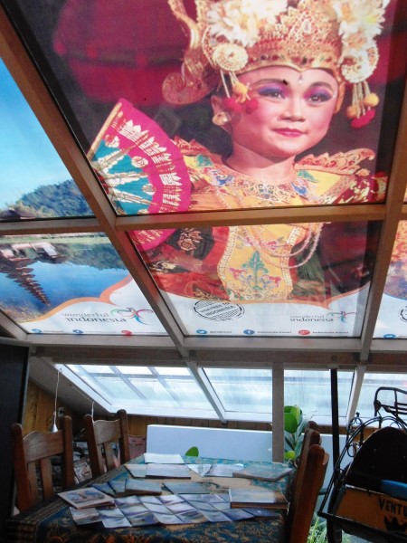 venture travels persoonlijk advies
